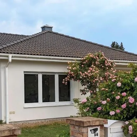 Bella Natura - 165 M2 On 1200 M2 Sunny Plot In - 15 Mins From Berlin - Relaxation In Nature Brieselang