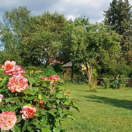 Bella Natura - 165 M2 On 1200 M2 Sunny Plot In - 15 Mins From Berlin - Relaxation In Nature Willa *